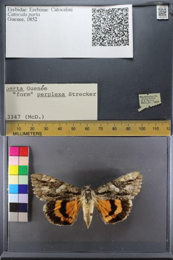Media type: image;   Entomology 748372